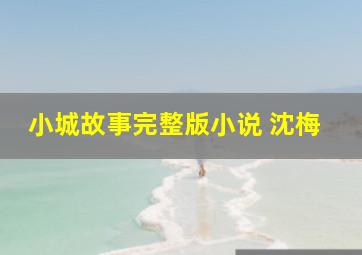 小城故事完整版小说 沈梅